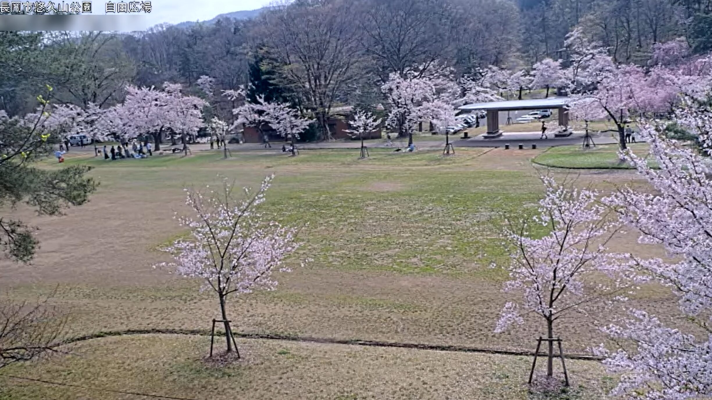 悠久山公園自由広場ライブカメラ(新潟県長岡市御山町)