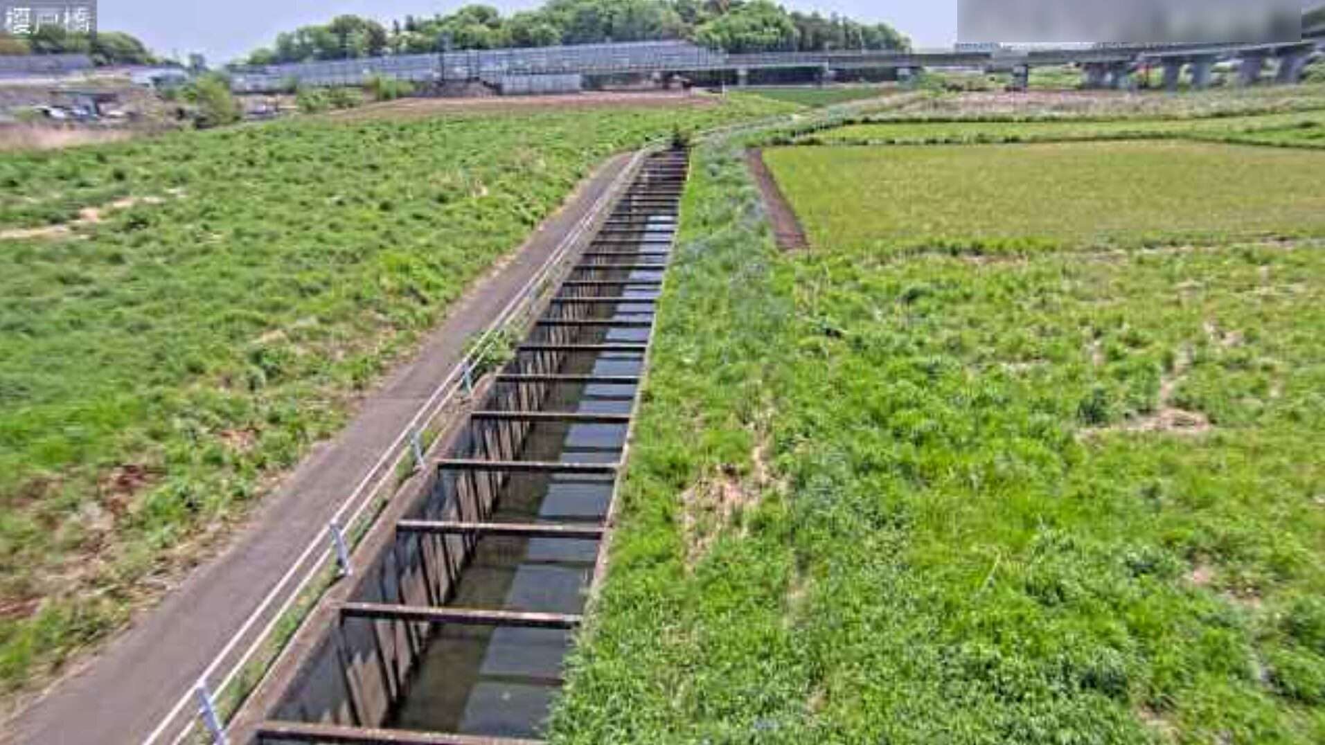 江川榎戸橋ライブカメラ(埼玉県北本市石戸)