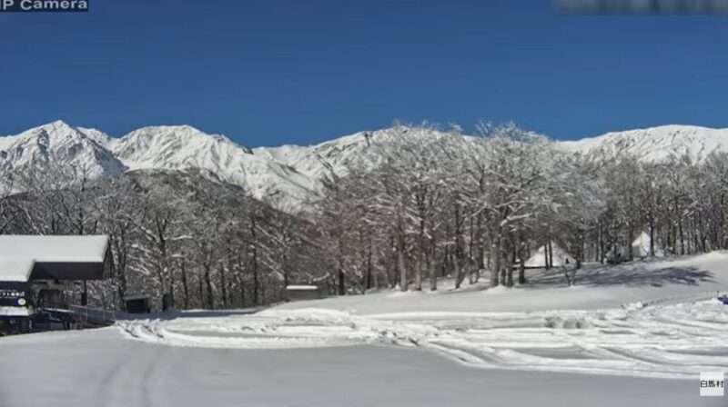 白馬岩岳マウンテンリゾートライブカメラ(長野県白馬村北城)