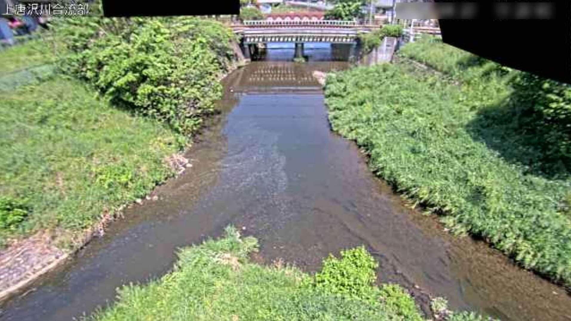 唐沢川上唐沢川合流部ライブカメラ(埼玉県深谷市緑ケ丘)