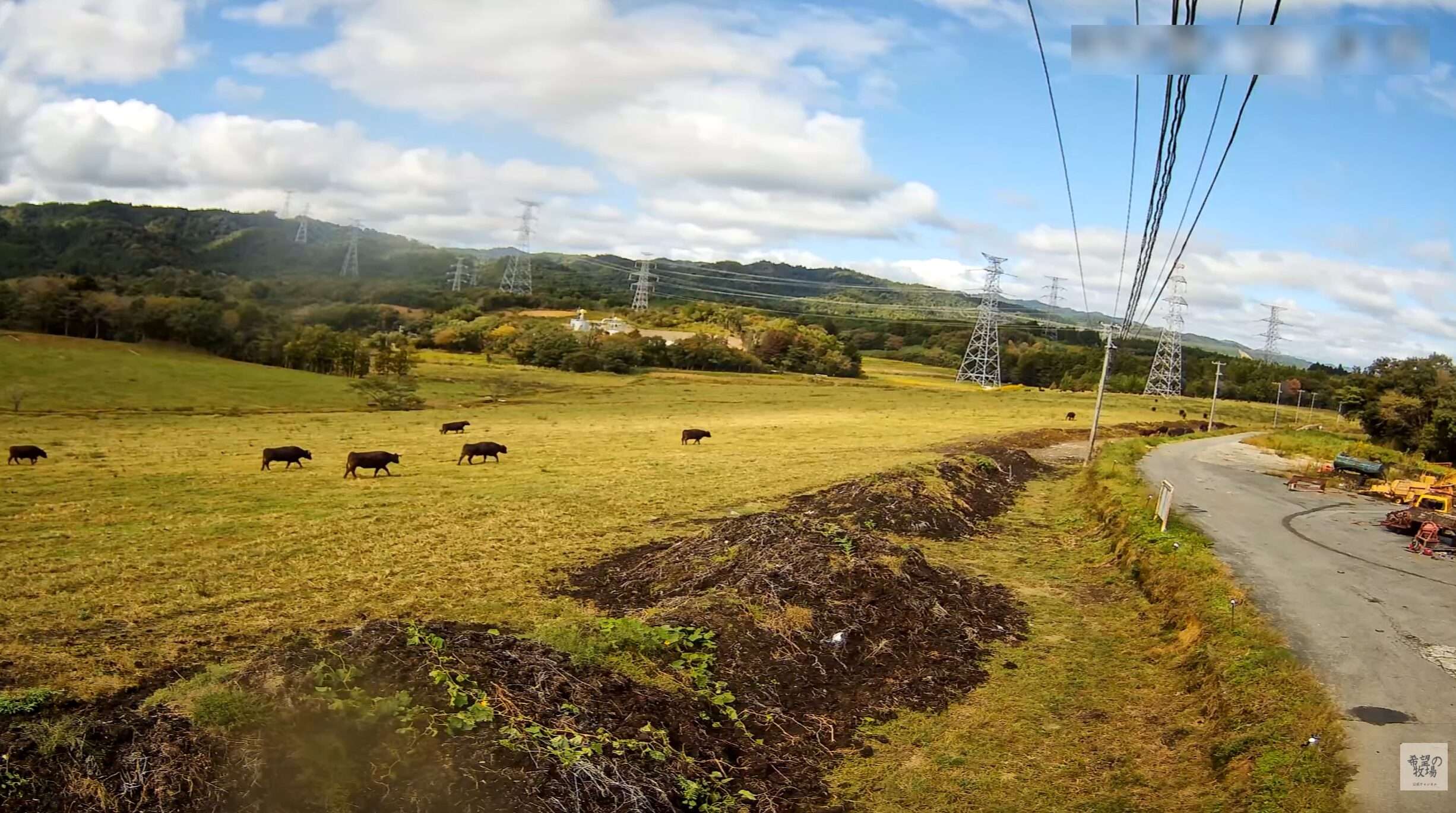 希望の牧場放牧地右側ライブカメラ(福島県浪江町立野)