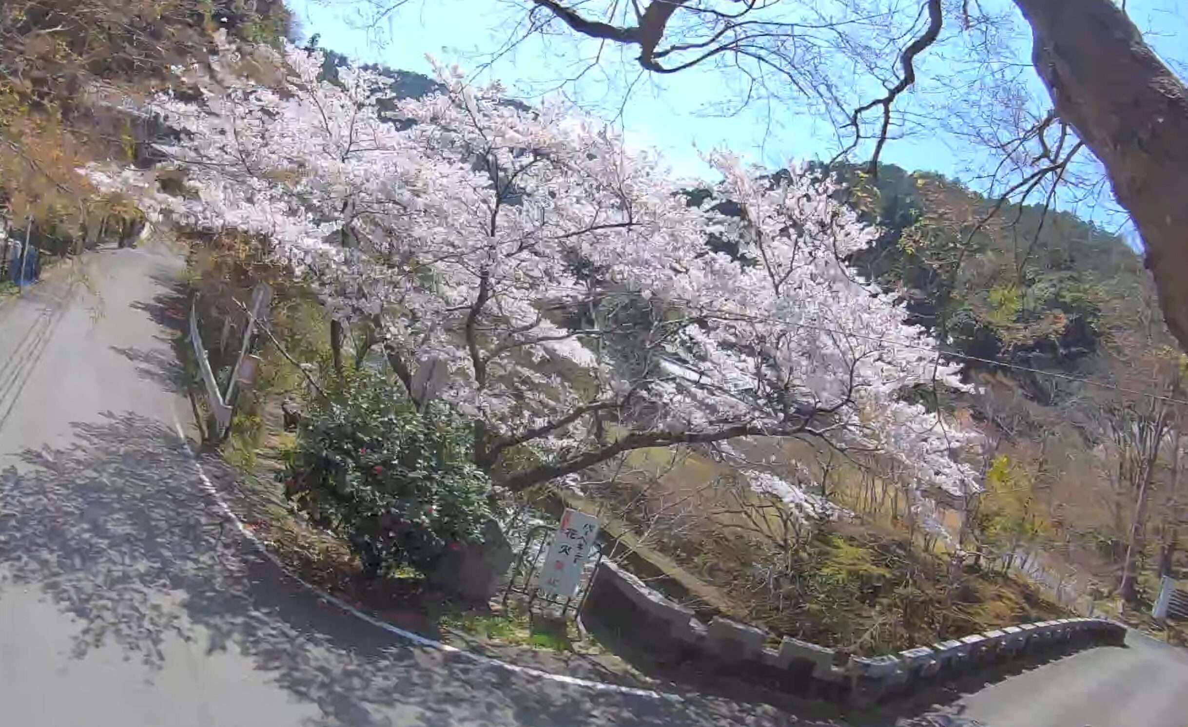 京都さくらや愛宕山麓ライブカメラ(京都府京都市右京区嵯峨清滝一華表町)