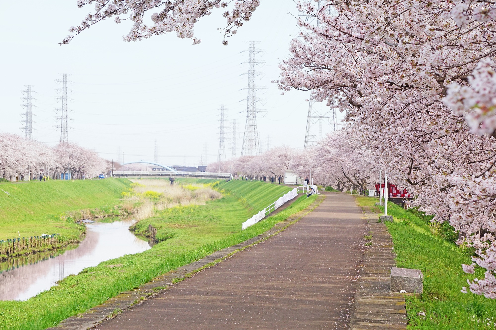 渋田川(金目川水系)ライブカメラ一覧