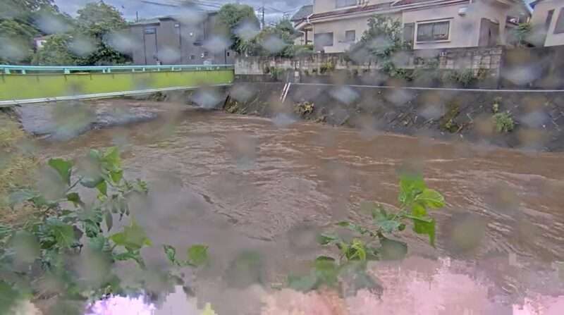 柳瀬川よもぎ橋ライブカメラ(東京都東村山市秋津町) 2025年9月11日15時39分 ゲリラ豪雨による大雨増水時