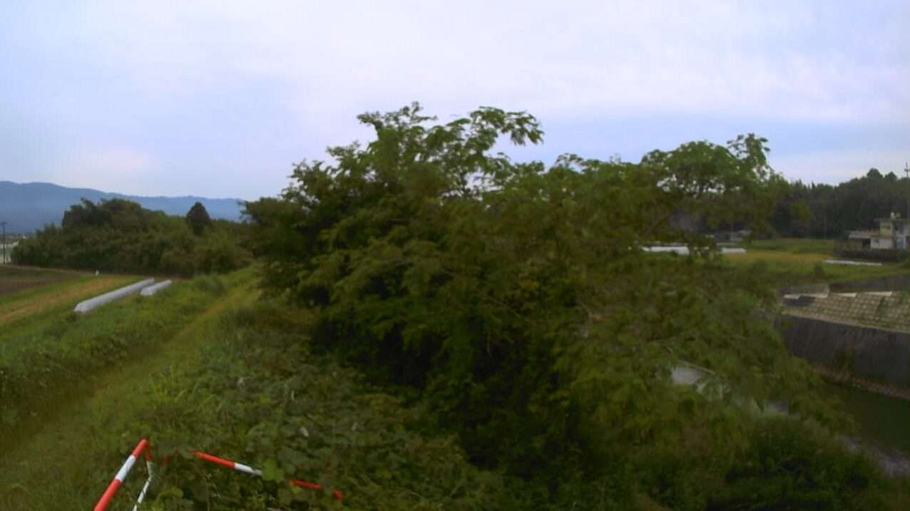 阿蘇川阿蘇川橋ライブカメラ(熊本県あさぎり町須恵)