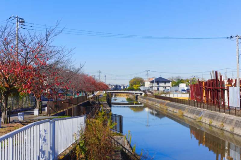 第二大場川(利根川水系)ライブカメラ一覧