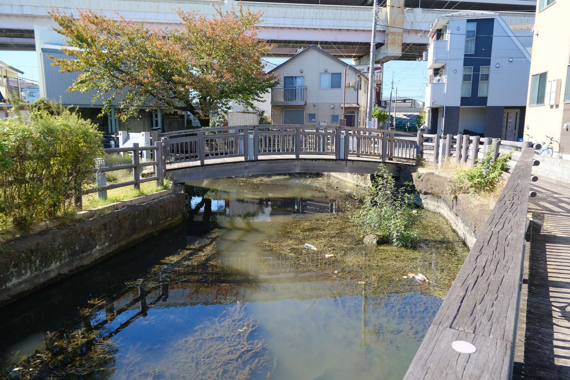 古隅田川(利根川水系)ライブカメラ一覧