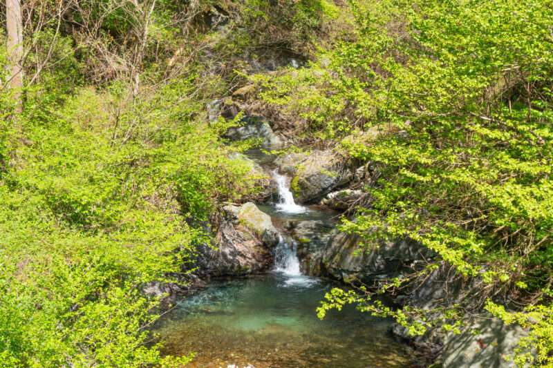 橋立川(荒川水系)ライブカメラ一覧