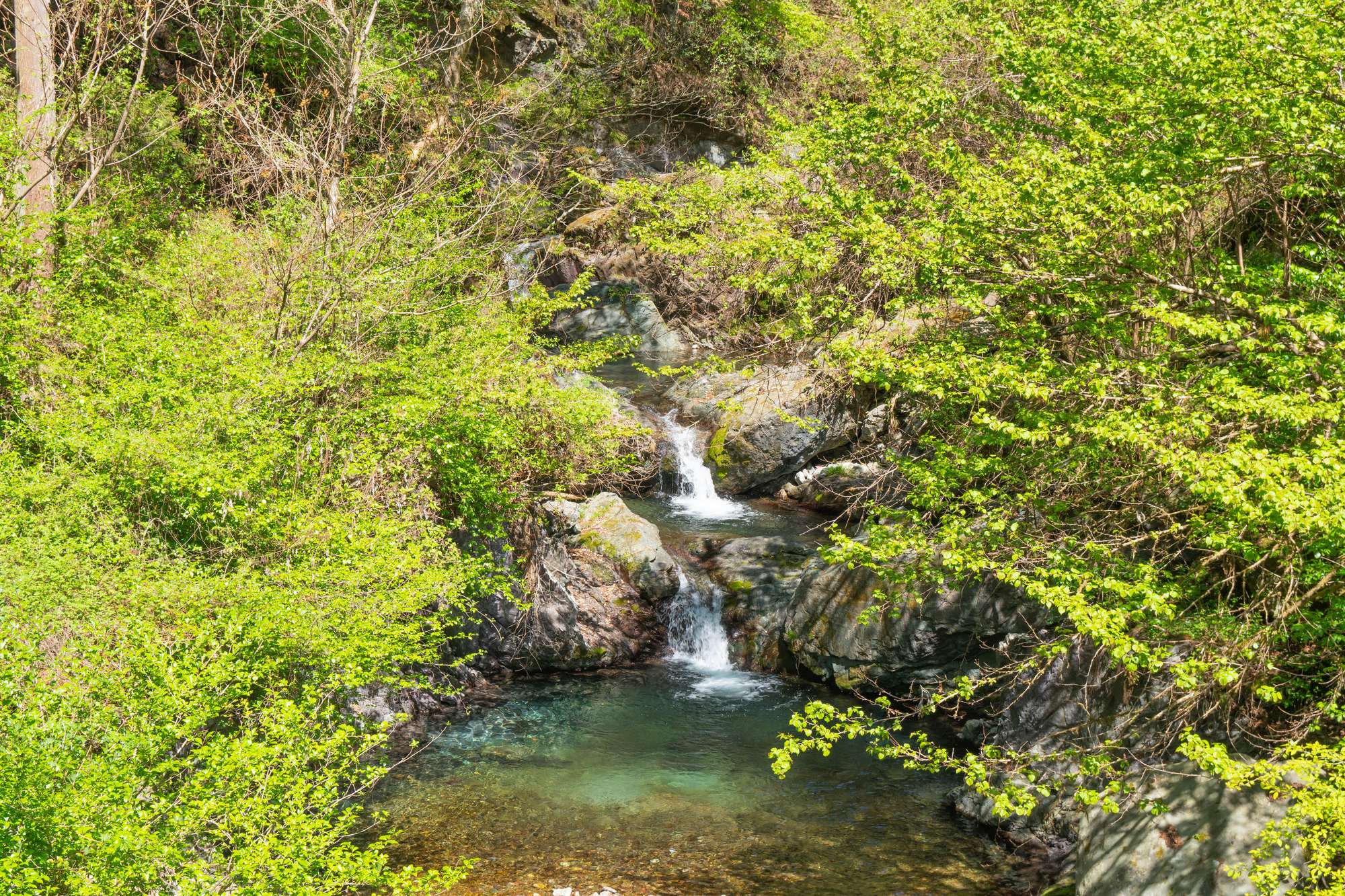 橋立川(荒川水系)ライブカメラ一覧