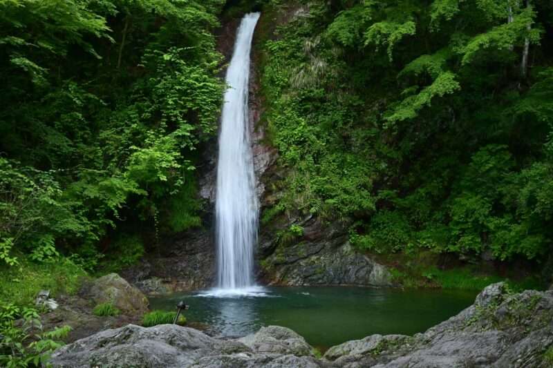 日野沢川(荒川水系)ライブカメラ一覧