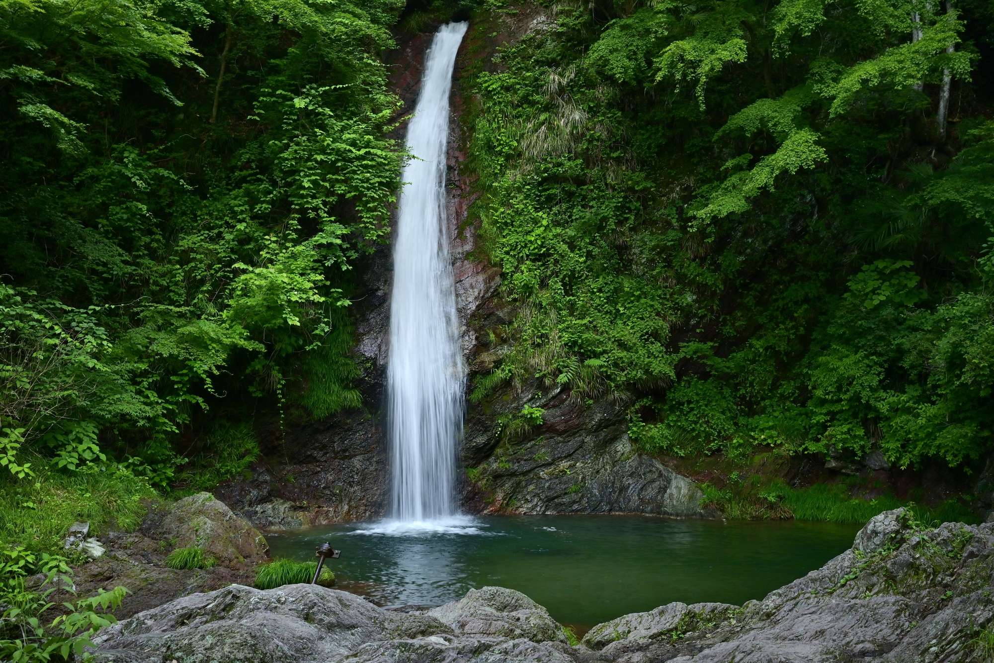 日野沢川(荒川水系)ライブカメラ一覧