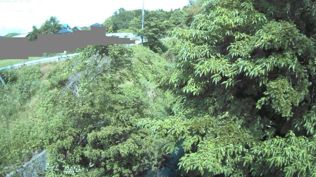 一宮川水上ライブカメラ(千葉県長柄町刑部)