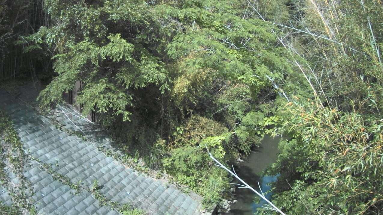 一宮川長富ライブカメラ(千葉県長柄町鴇谷)