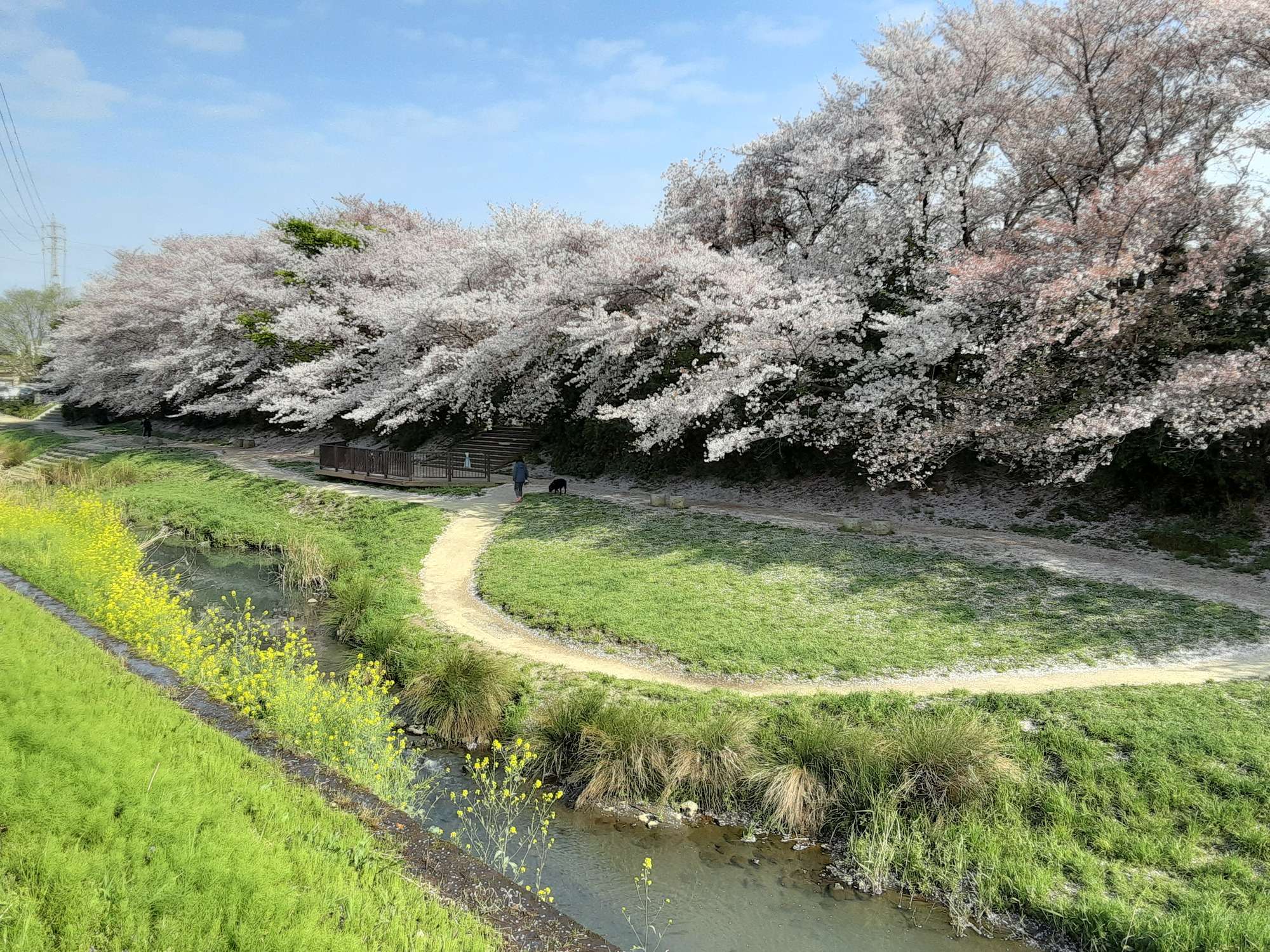 鴨川(荒川水系)ライブカメラ一覧