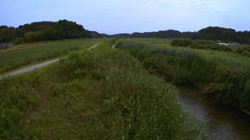 木戸川弁天橋ライブカメラ(千葉県山武市松尾町蕪木)
