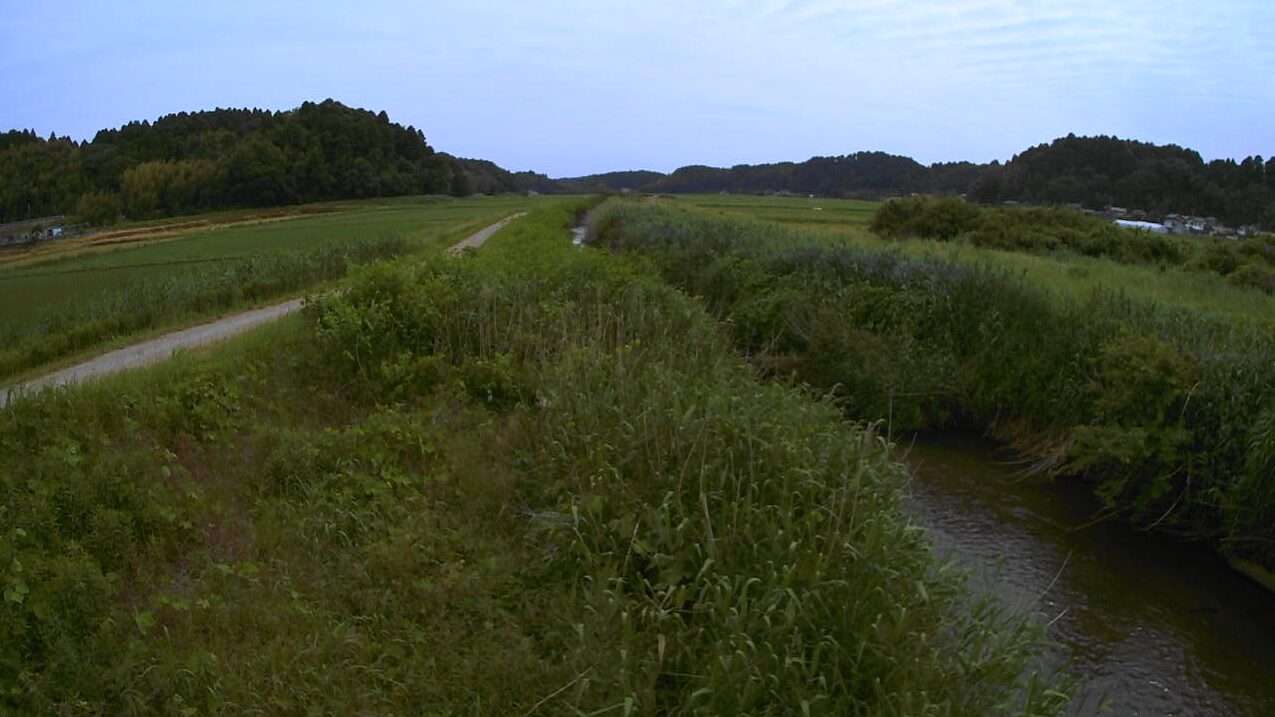 木戸川弁天橋ライブカメラ(千葉県山武市松尾町蕪木)