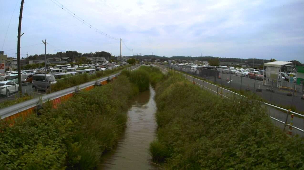 小中川駒込ライブカメラ(千葉県大網白里市駒込)