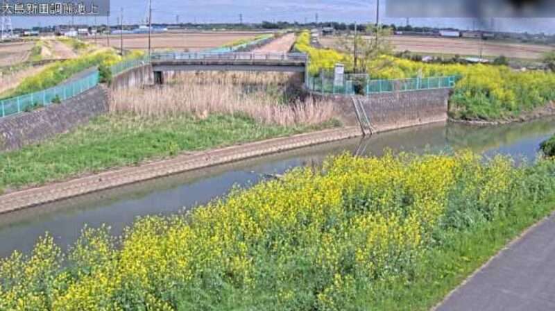 倉松川大島新田調節池上ライブカメラ(埼玉県幸手市吉野)
