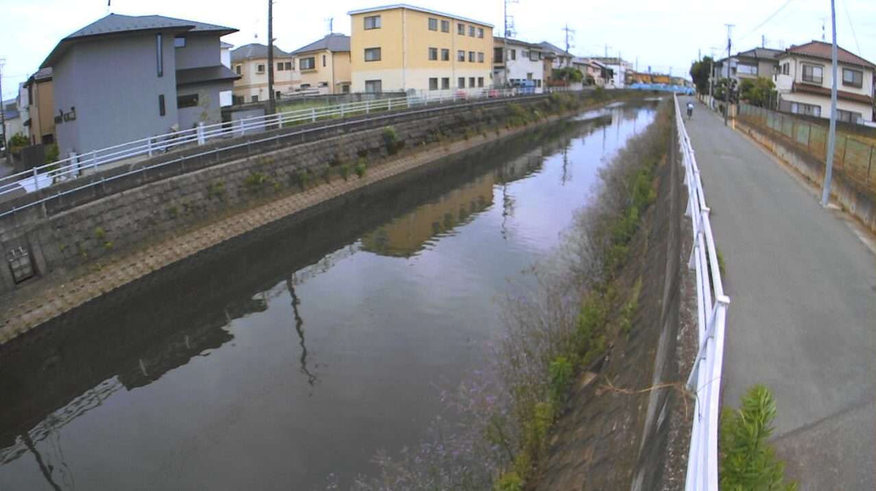 真間川須和田橋ライブカメラ(千葉県市川市須和田)
