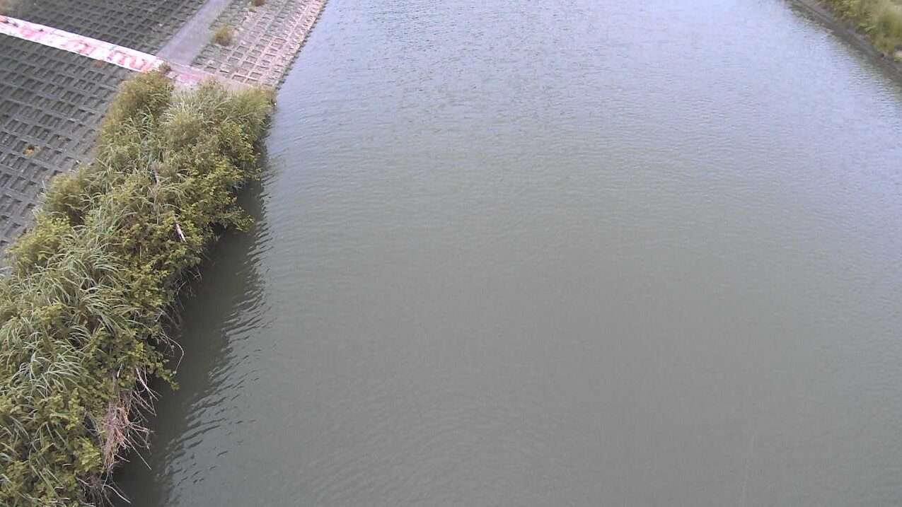 瑞沢川瑞沢川調節池ライブカメラ(千葉県睦沢町上市場)