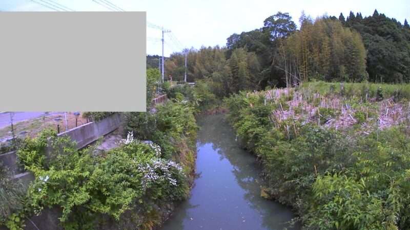 村田川大橋ライブカメラ(千葉県千葉市緑区越智町)