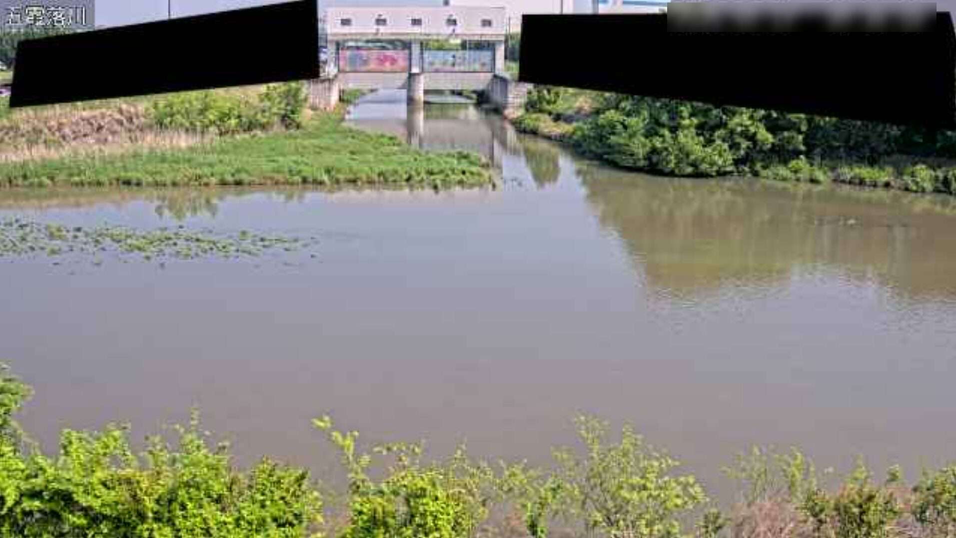 中川五霞落川ライブカメラ(埼玉県幸手市上宇和田)