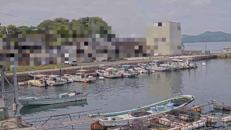 大道漁港ライブカメラ(熊本県上天草市龍ヶ岳町大道)