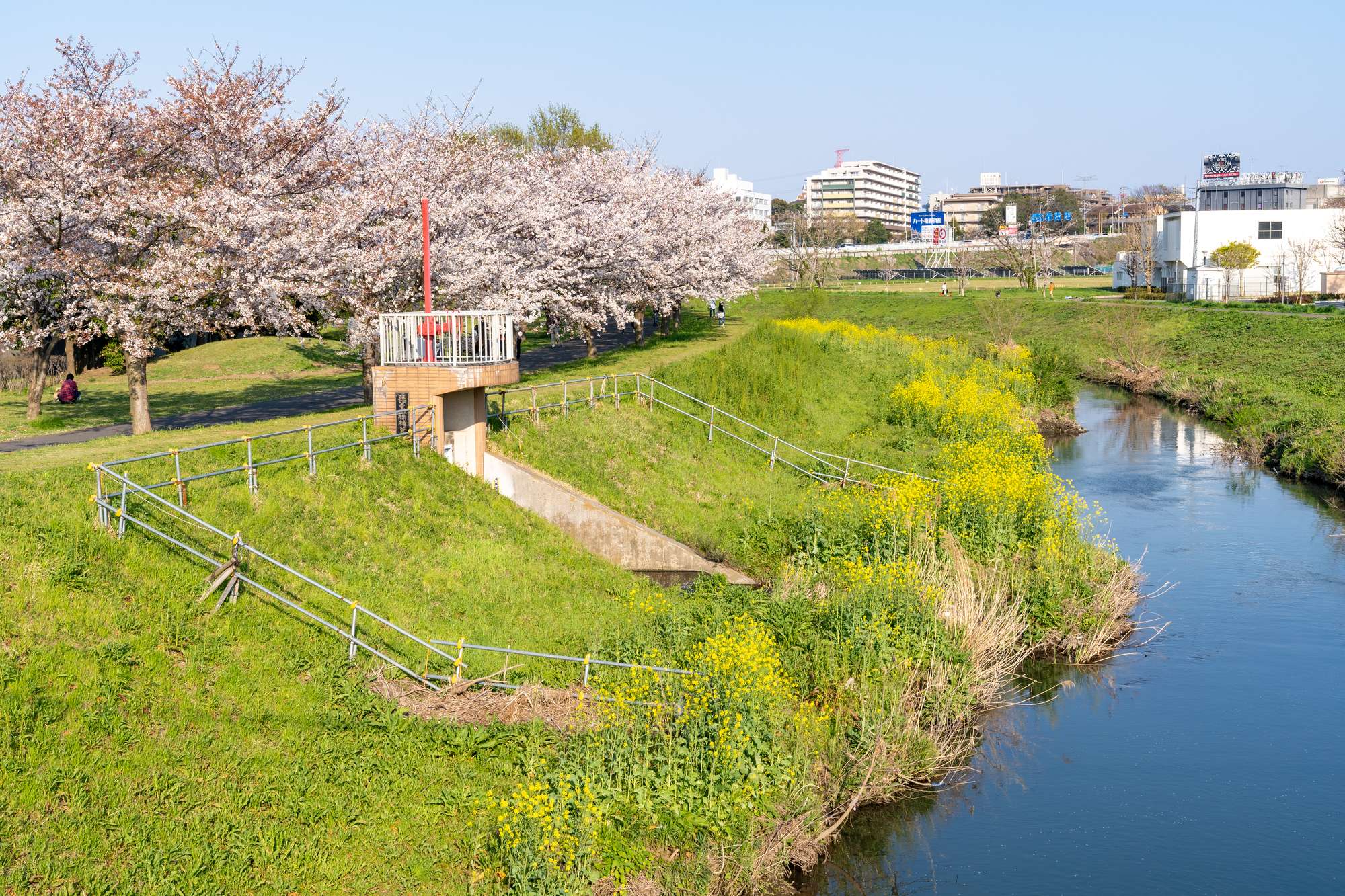 大堀川(利根川水系)ライブカメラ一覧