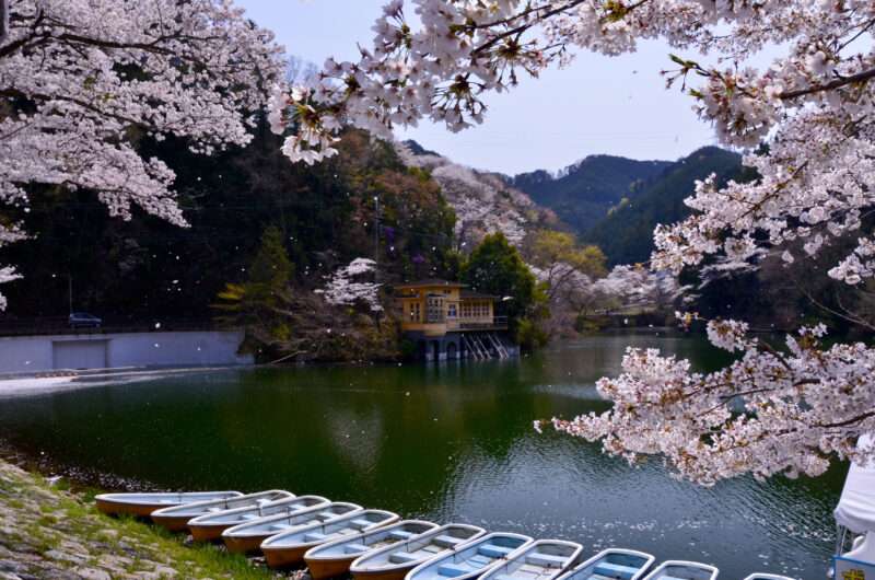 大谷木川(荒川水系)ライブカメラ一覧