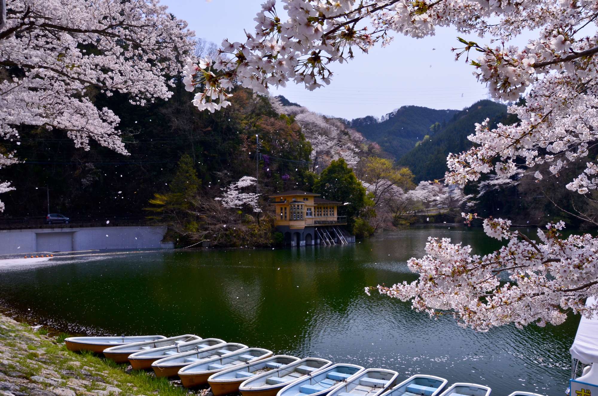 大谷木川(荒川水系)ライブカメラ一覧