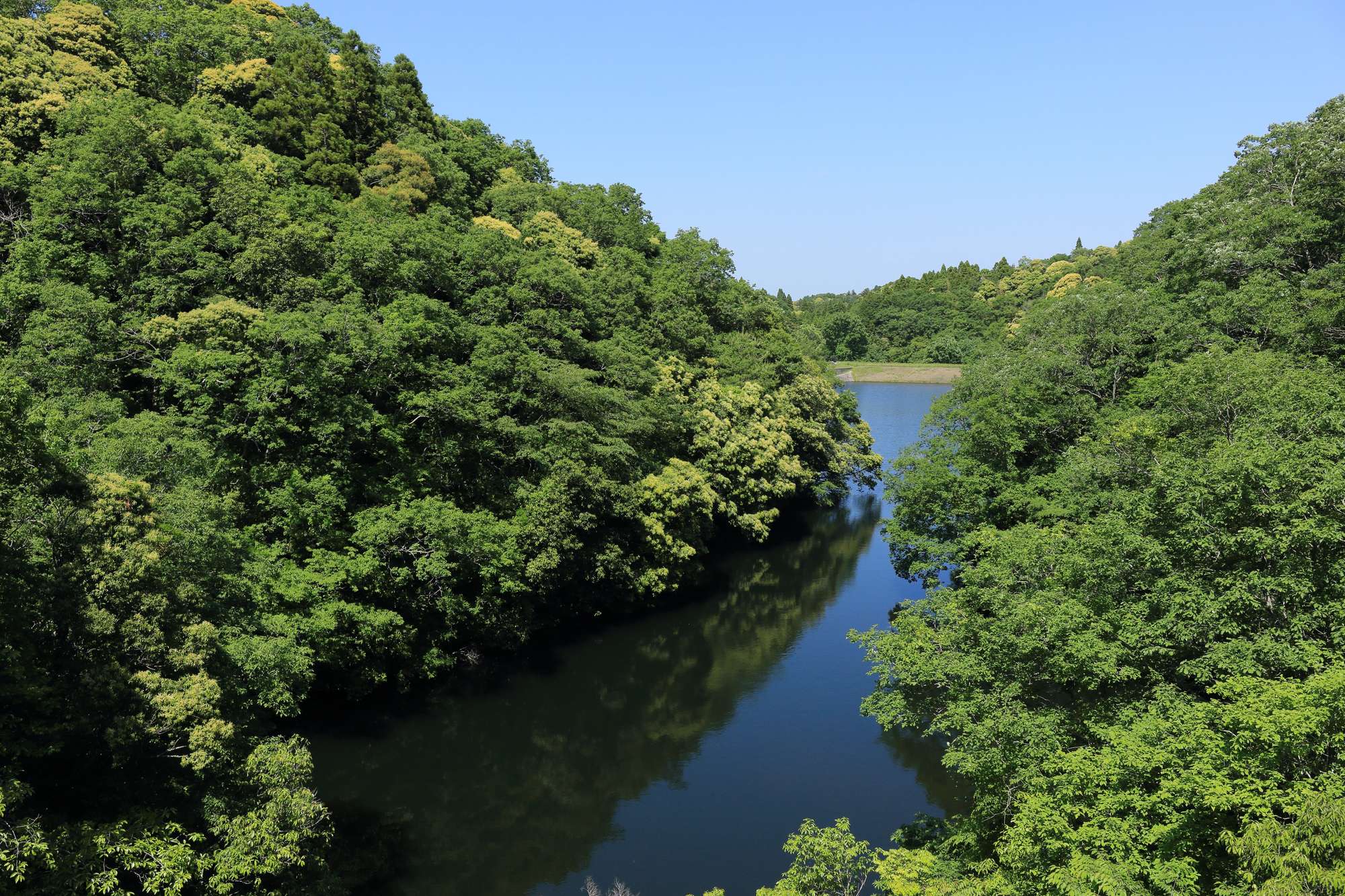 三途川(一宮川水系)ライブカメラ一覧