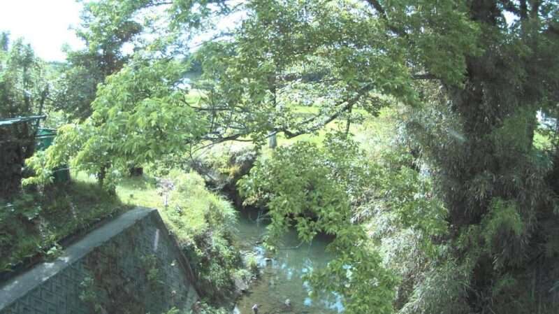 三途川稔橋ライブカメラ(千葉県長南町千田)