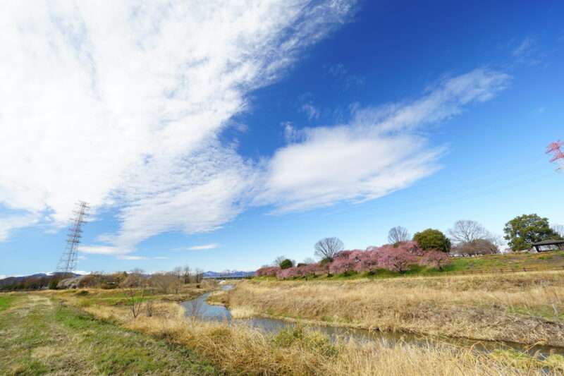 志戸川(利根川水系)ライブカメラ一覧
