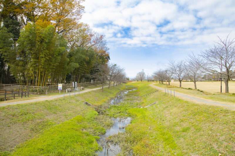 清水川(利根川水系小山川支流)ライブカメラ一覧