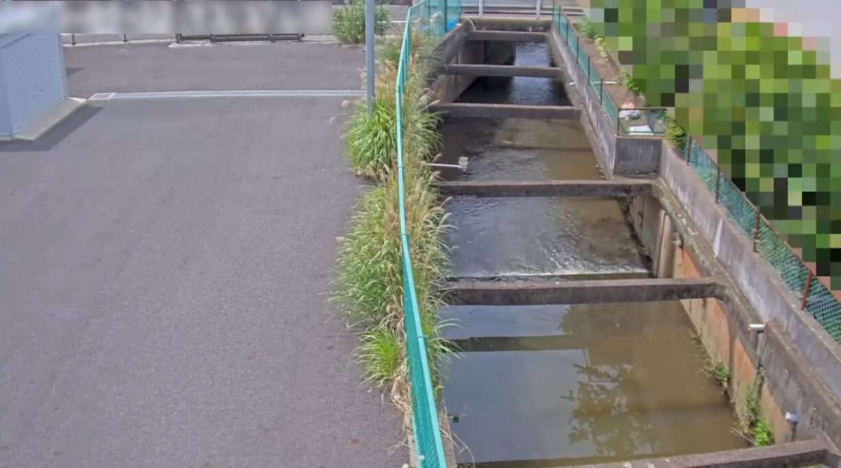 酒々井町排水路京成横断ライブカメラ(千葉県酒々井町中川)