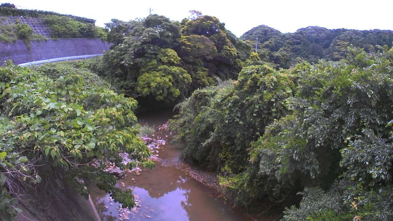 洲貝川江見ライブカメラ(千葉県鴨川市東江見)