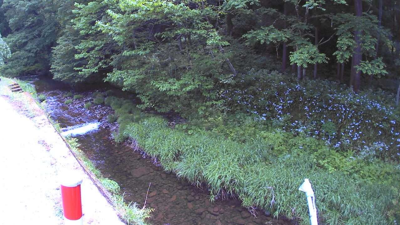 杉の水川杉水ライブカメラ(石川県加賀市山中温泉杉水町)