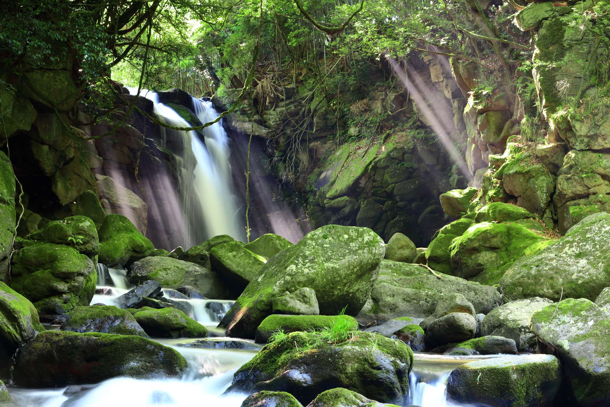 田ノ原川(筑後川水系)ライブカメラ一覧