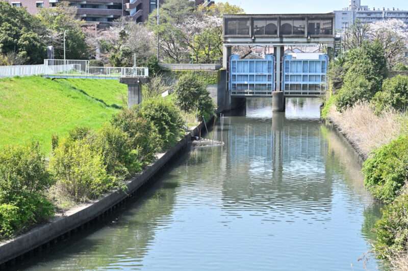 竪川(荒川水系)ライブカメラ一覧