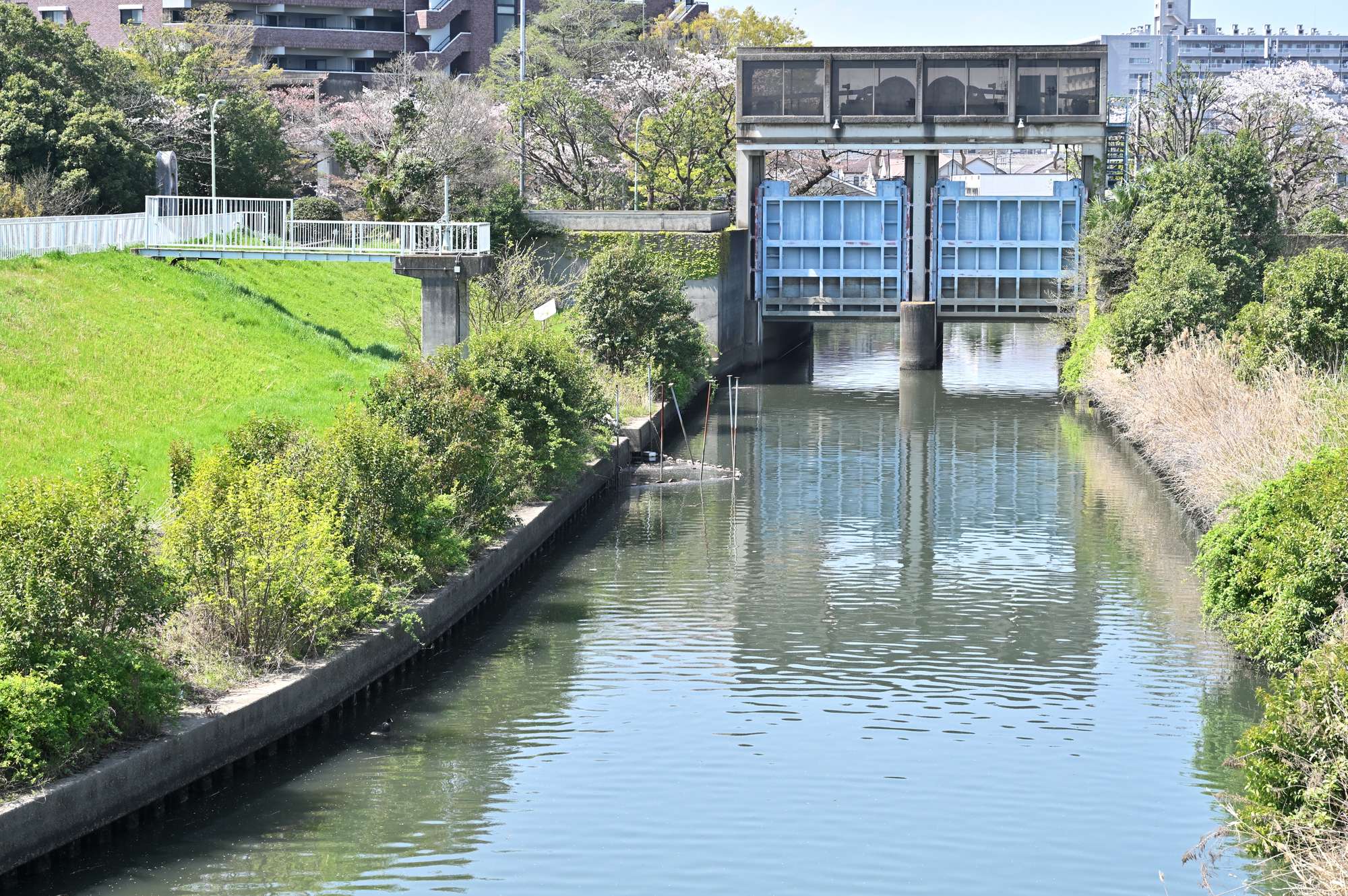 竪川(荒川水系)ライブカメラ一覧