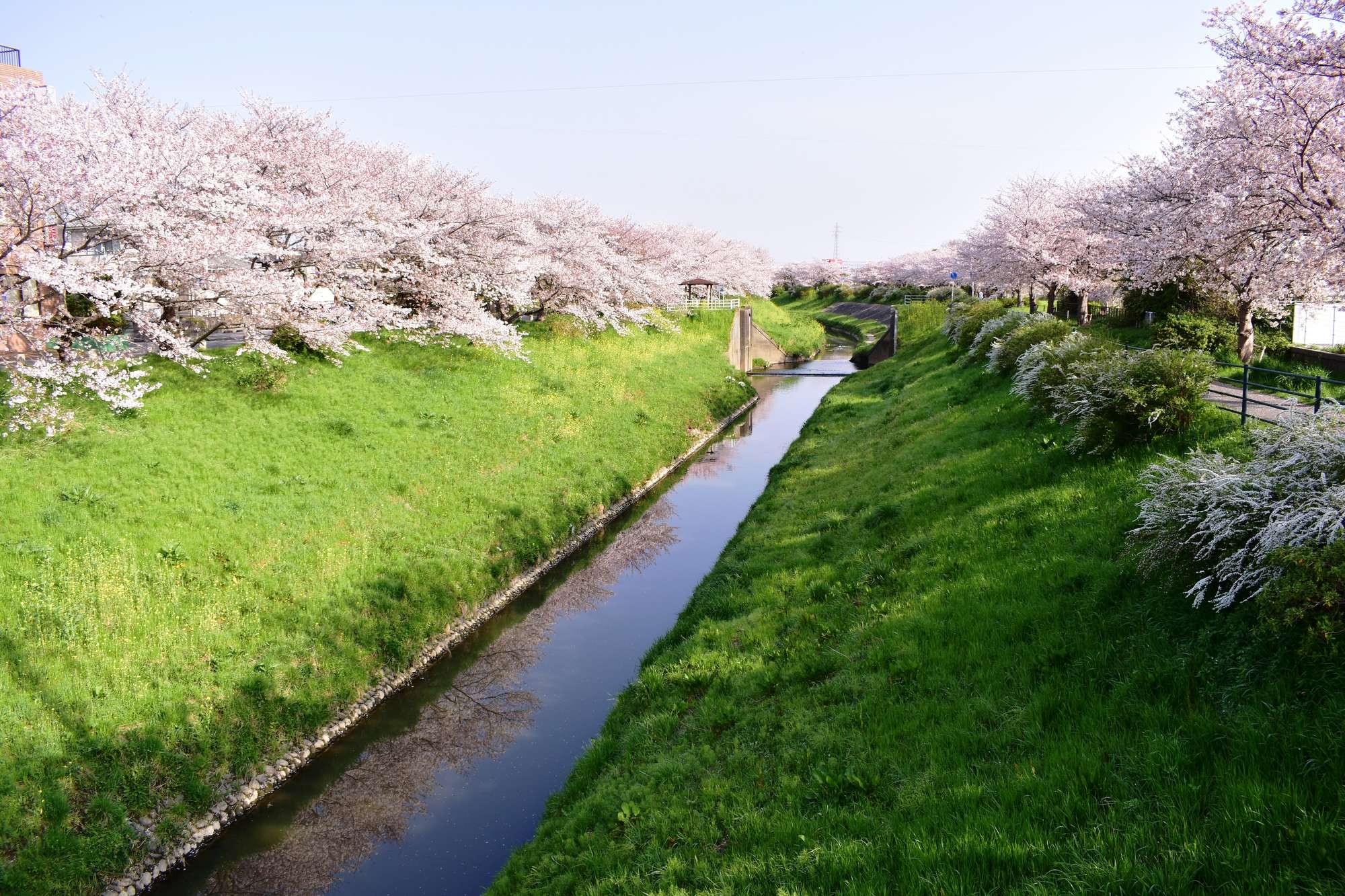 豊田川(一宮川水系)ライブカメラ一覧