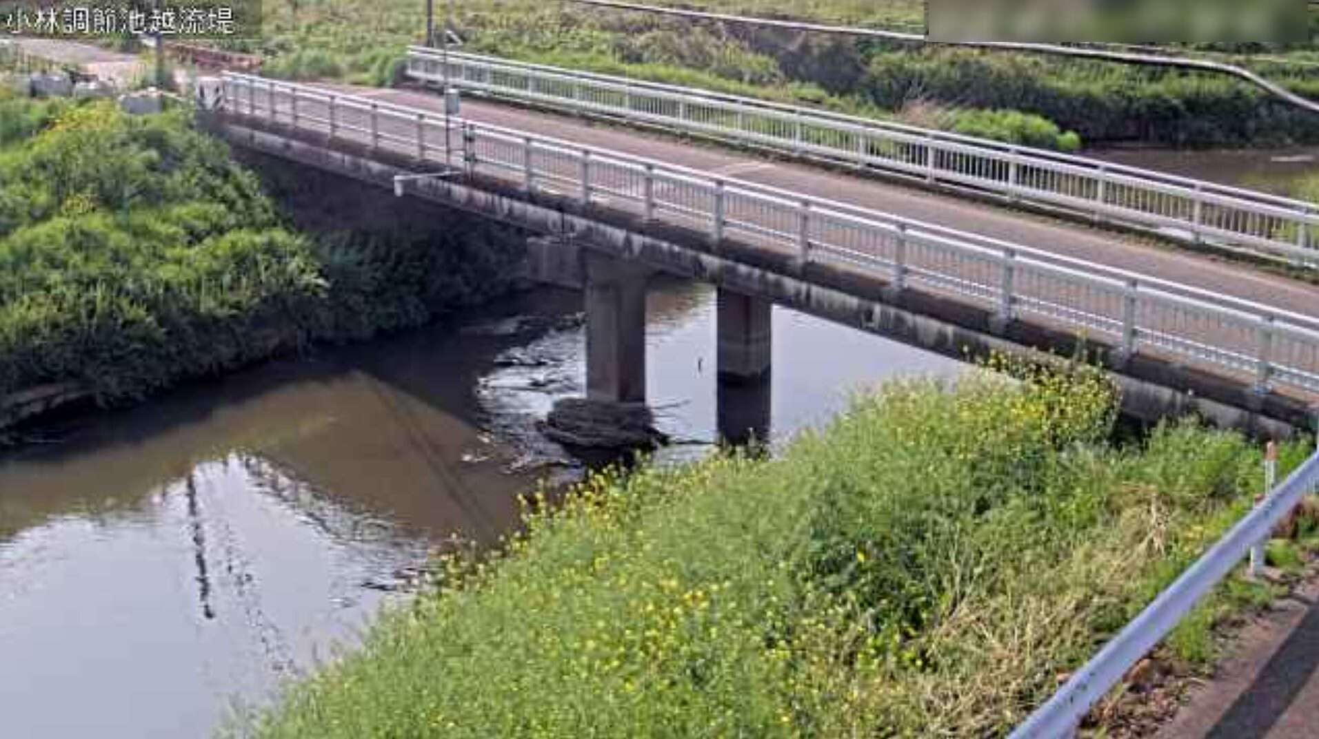 野通川小林調節池越流堤ライブカメラ(埼玉県久喜市菖蒲町小林)