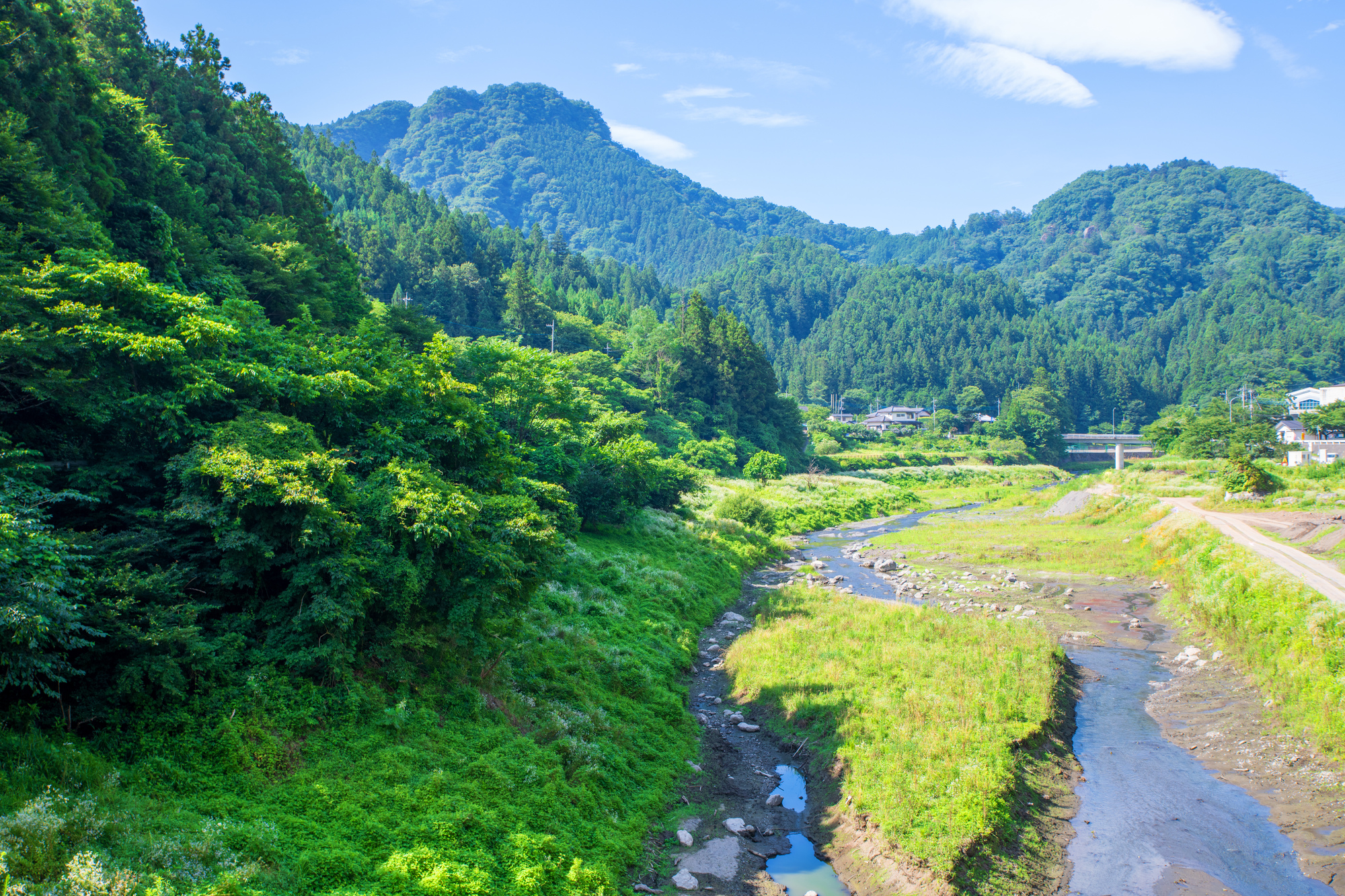 吉田川(荒川水系)ライブカメラ一覧