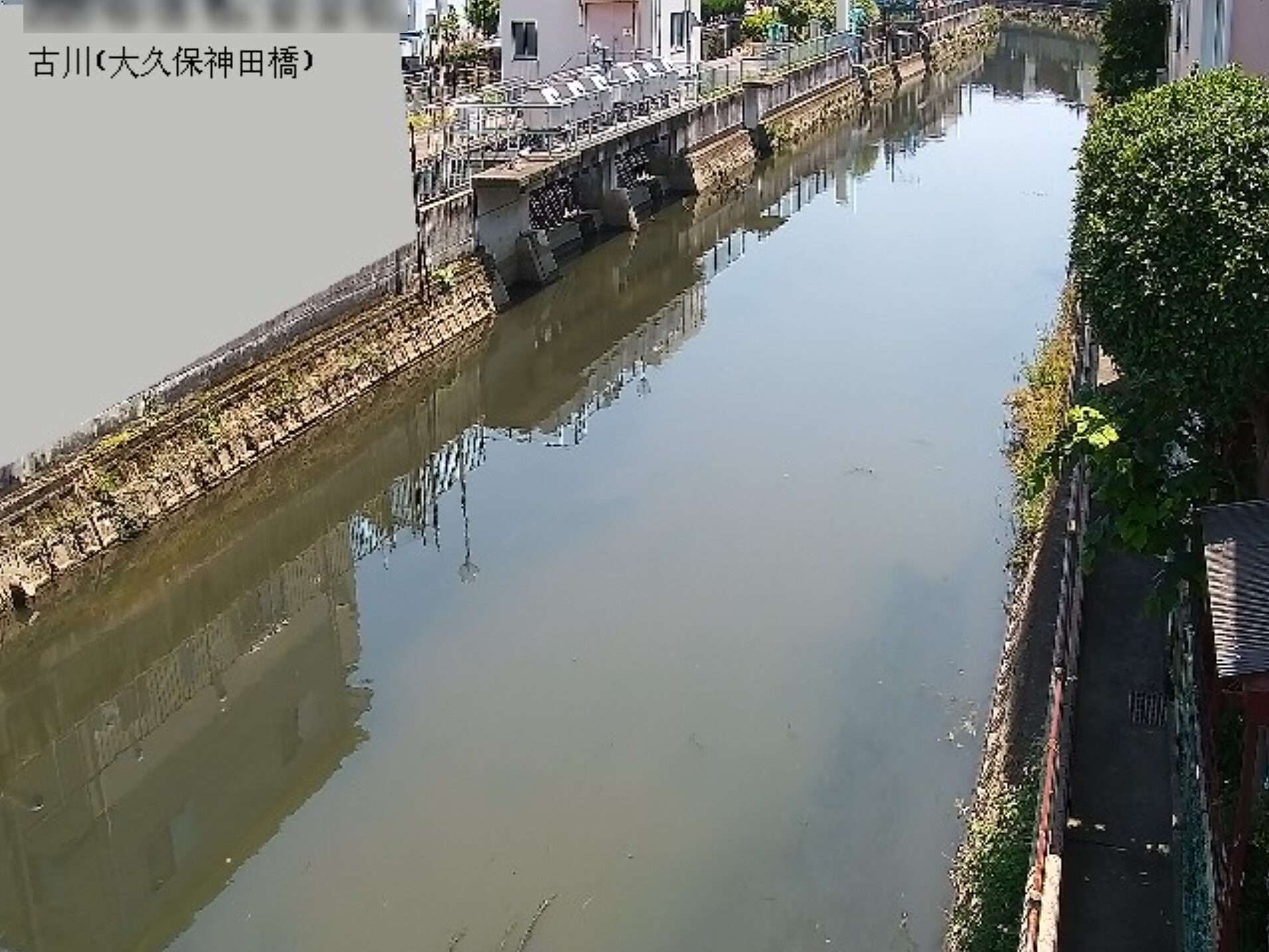 古川大久保神田橋ライブカメラ(大阪府守口市大久保町)
