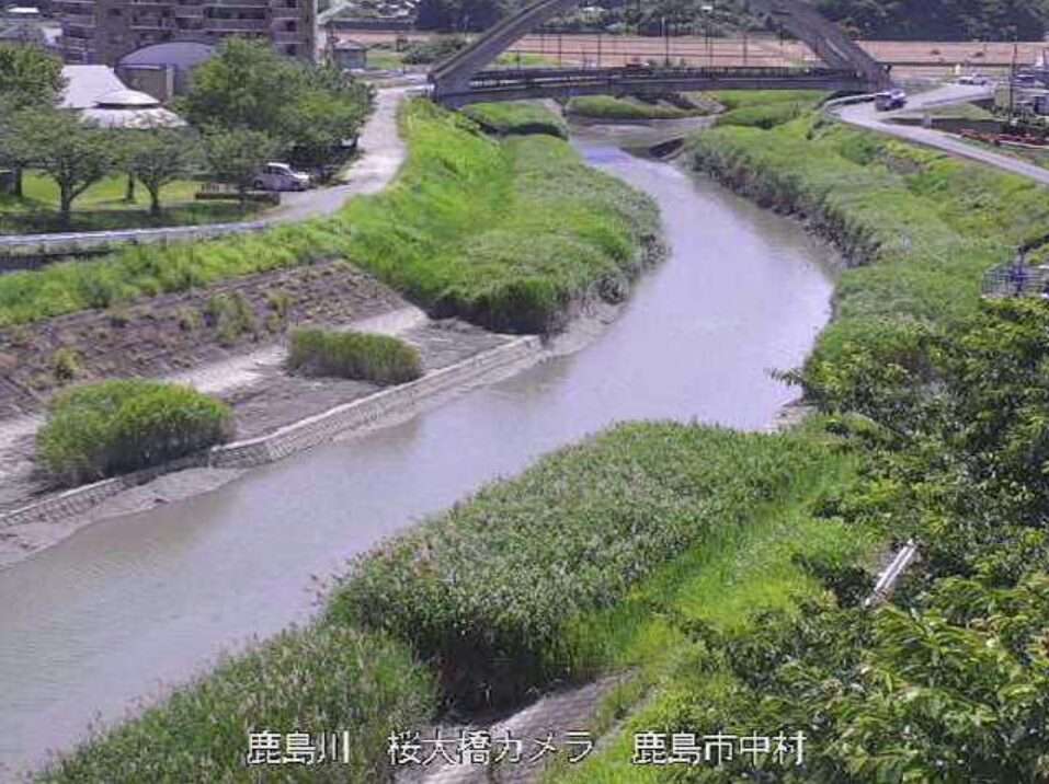 鹿島川桜大橋ライブカメラ(佐賀県鹿島市中村)
