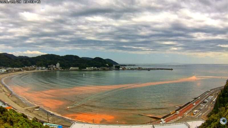 FlyingSuika逗子海岸ライブカメラ(神奈川県逗子市新宿) 2026年5月29日 赤潮
