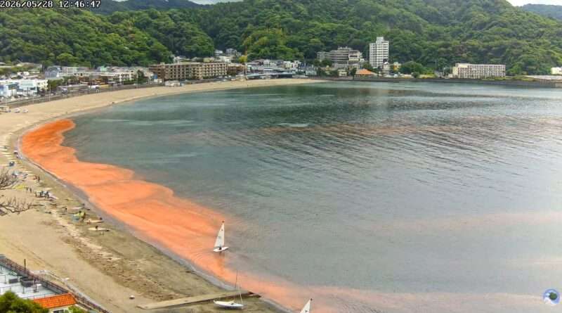 FlyingSuika逗子海岸海水浴場ライブカメラ(神奈川県逗子市新宿) 2026年5月28日 赤潮