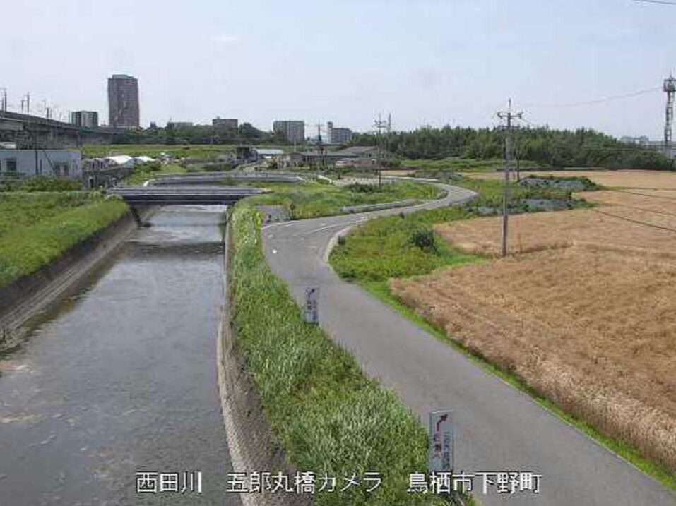 西田川五郎丸橋ライブカメラ(佐賀県鳥栖市下野町)