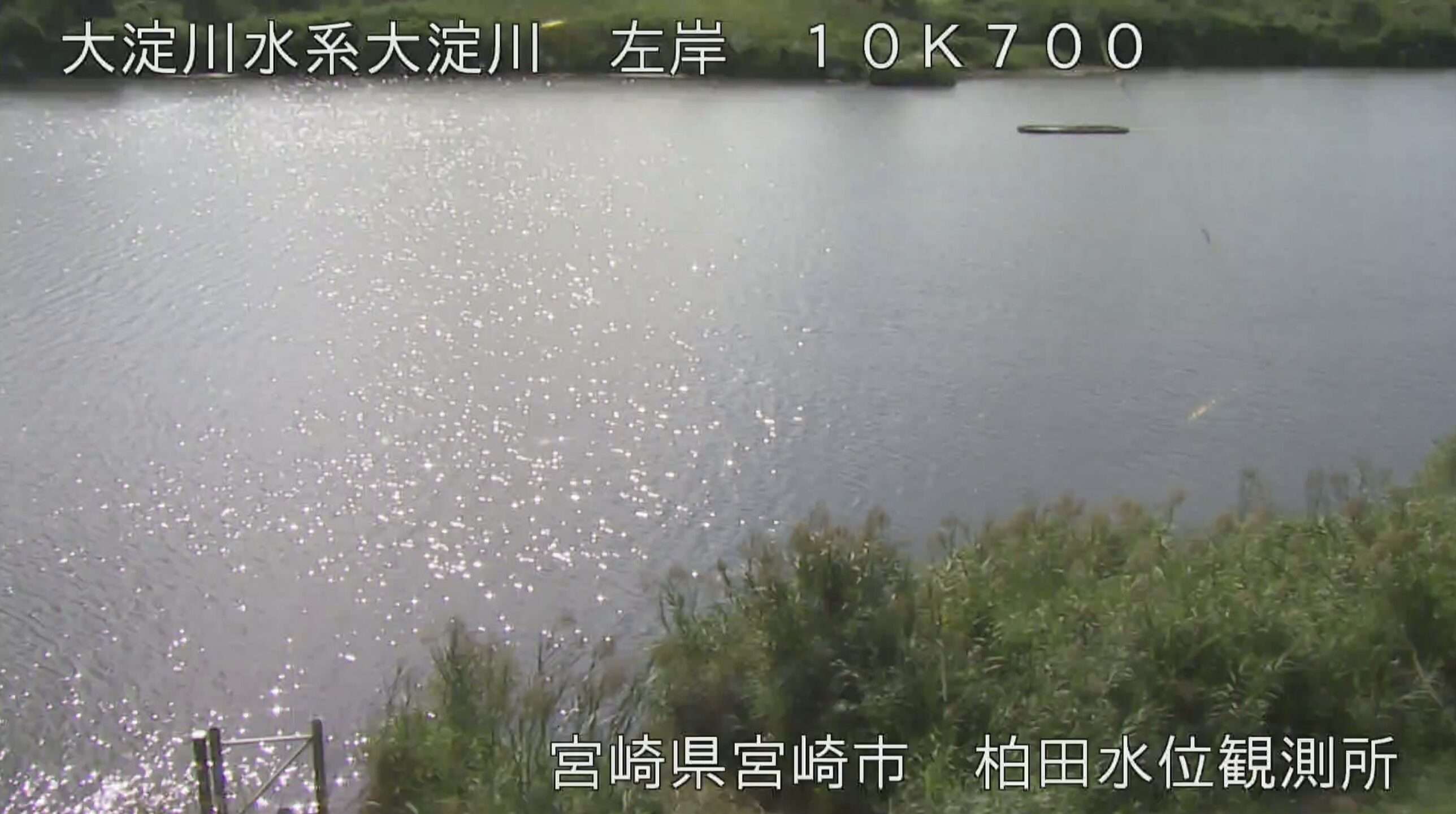 大淀川柏田ライブカメラ(宮崎県宮崎市瓜生野)