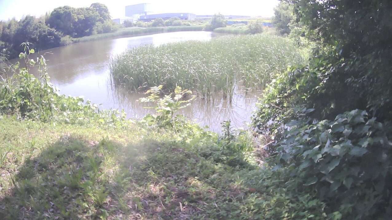 坂田ため池欠塚ライブカメラ(福岡県筑後市前津)